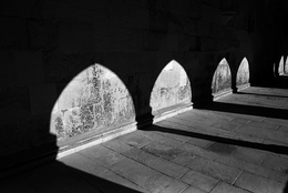 Sombras monásticas 