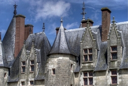 Castelos do Loire 