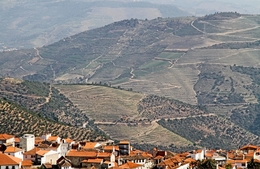 OS TELHADOS DE TABUAÇO -  REGIÃO DO DOURO 