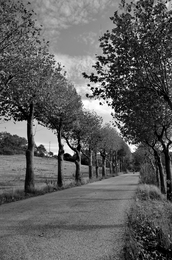 CAMINHOS DE SANTA RITA 