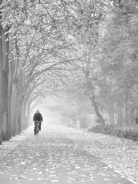 O ciclista e o nevoeiro 