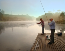 Pescando lambarís 