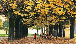 "Outono no parque" 