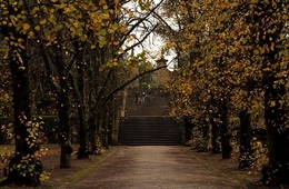 Passeio no parque 