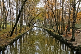 RIO ZÊZERE NO COVÃO DA METADE 