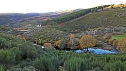 SOMBRA ENVOLVE O COVÃO DA PONTE-R.MONDEGO 