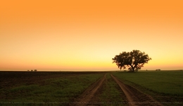 Baixo Alentejo 