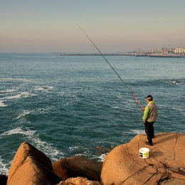 Pesca  