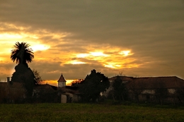 Fim de tarde no campo 