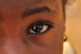 regard 