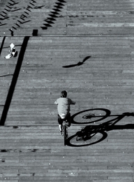 O ciclista e a pomba___ 