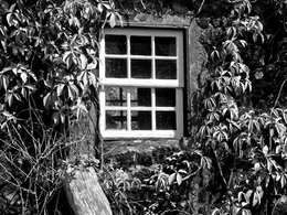 Açores - Uma janela perdida no tempo 