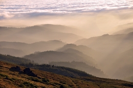Neblina na montanha 