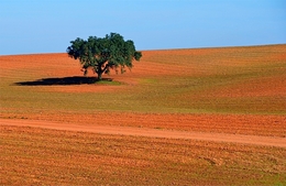 Alentejo 