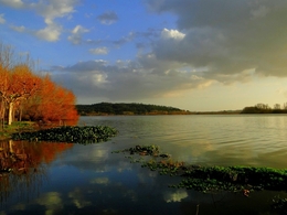 Water Mirror 