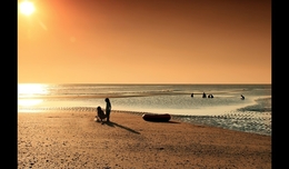 On the beach 