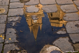 The cathedral and bell tower in the puddle 