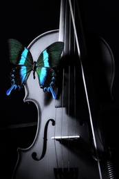 The Silent Violin 