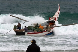 Praia de Mira 