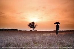 No Alentejo 