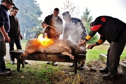 Matança do porco 