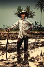 A Pose By Java Farmer 