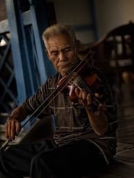Violin Man 