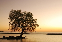 Sunrise Pantai Mali... 
