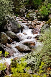 Recantos da Serra da Estrela 