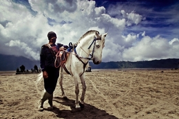 Bromo Horse Rider 