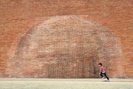 A bolha no muro___ 