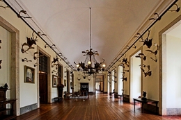 SALA DA CAÇA - PALÁCIO DE MAFRA 