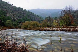 O ZÊZERE NO VALE DA AMOREIRA - SERRA 