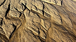 Folhas de areia___ 
