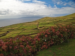 Açores - Do Corvo para o mundo 