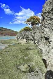 Batu Karang Pulau Kepa 