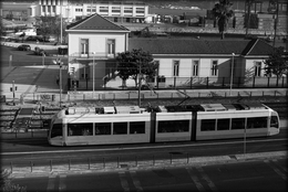 Os mais recentes eléctricos da Carris 