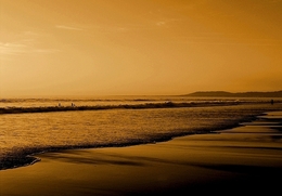 Mar dourado ___ 