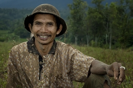 The Jockey's Smile 