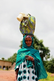 Guinea colours 