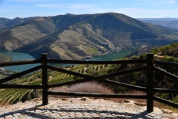 Com Vista para O Douro 