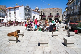 Guardião da praça  