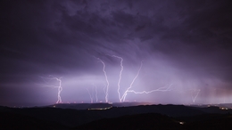 Lightning Trees in the Douro Valley  