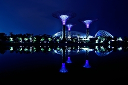 Garden by the bay____ 
