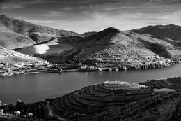 O Douro Vinhateiro 