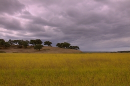 As cores do Alentejo 