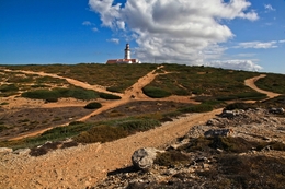 CAMINHOS CRUZADOS 