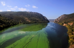 VERDE É O TEJO EM RODÃO 