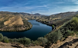 Douro Vinhateiro 