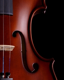 Violino. 